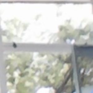 Meet your Posher, Aleisha